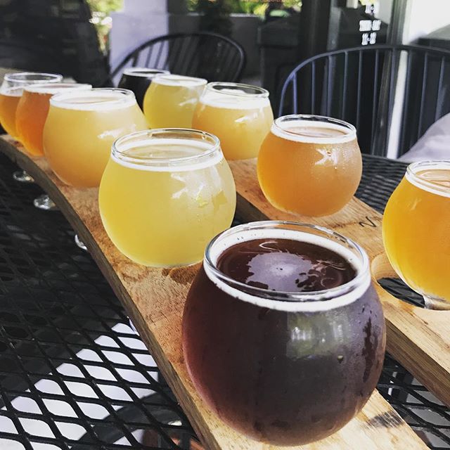 Flight Night is taking off @bottledogcary. Stop by and try our Gose, Belgian Dubbel, Farmhouse Saison, and Hazy IPA. #ncbeer #cary